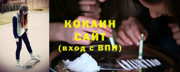 тгк Абаза