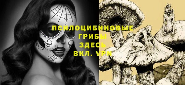 apvp Абдулино