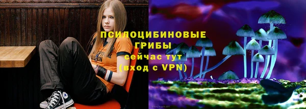 эйфоретик Пересвет
