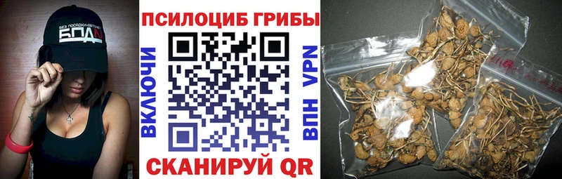 Псилоцибиновые грибы Psilocybe  купить наркотики сайты  Змеиногорск 